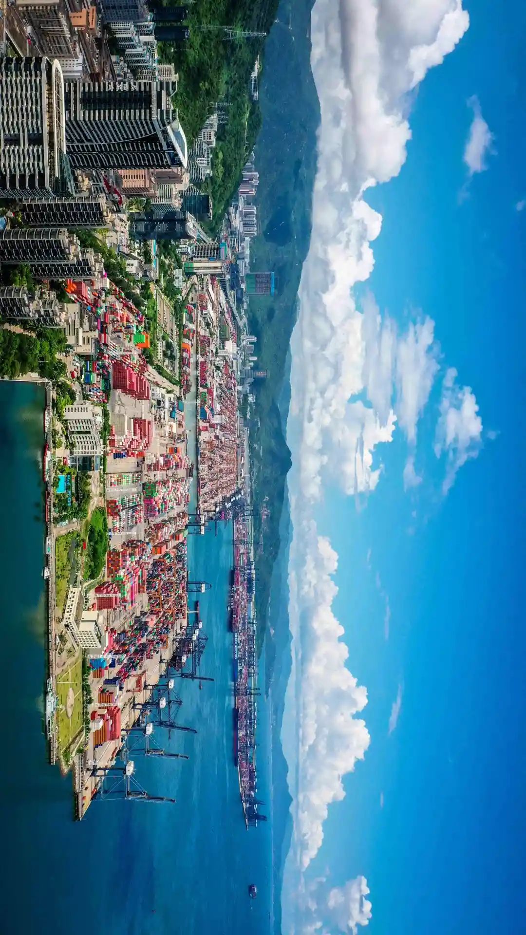 什么是深圳特产,什么是深圳银行