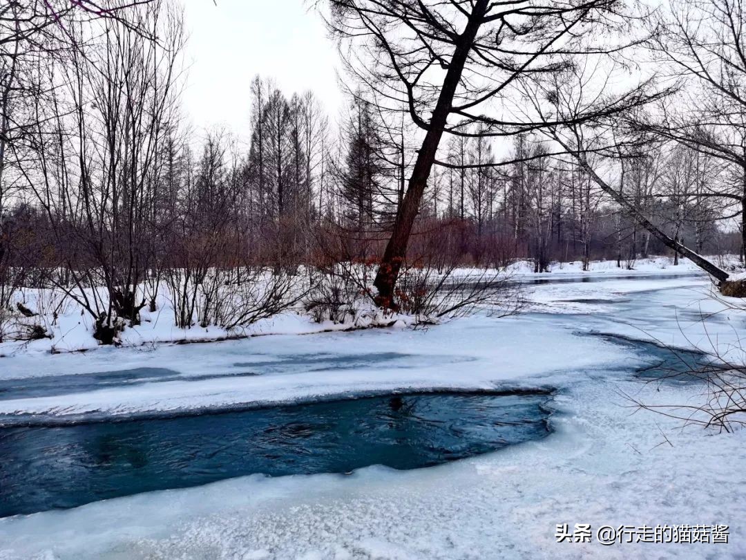 长白山天池猴子泡温泉 (长白山冬天看天池)