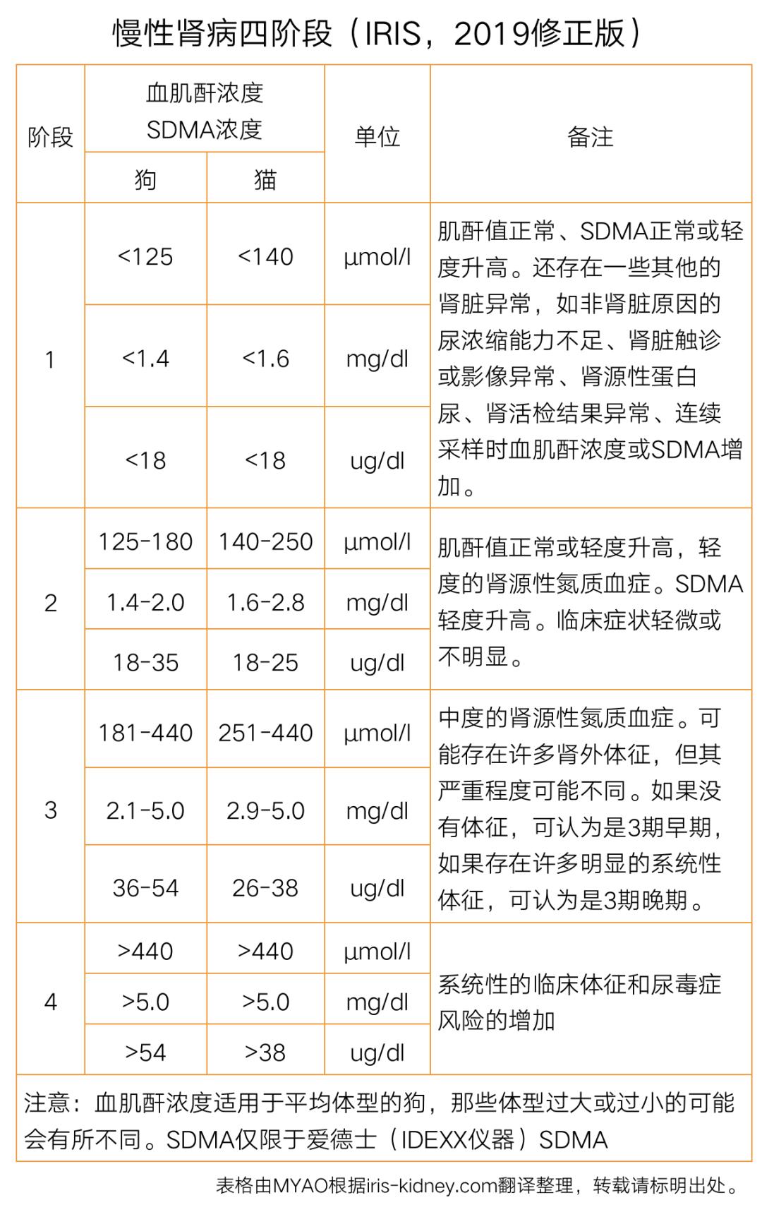 猫病视频,猫肾脏病视频大全