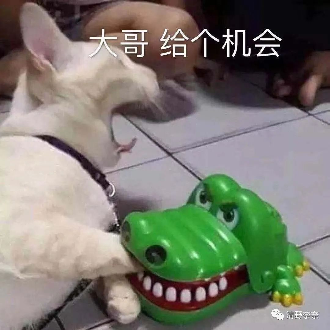 推荐一款平民好用的粉饼,给推荐一款特别细腻不干的粉饼