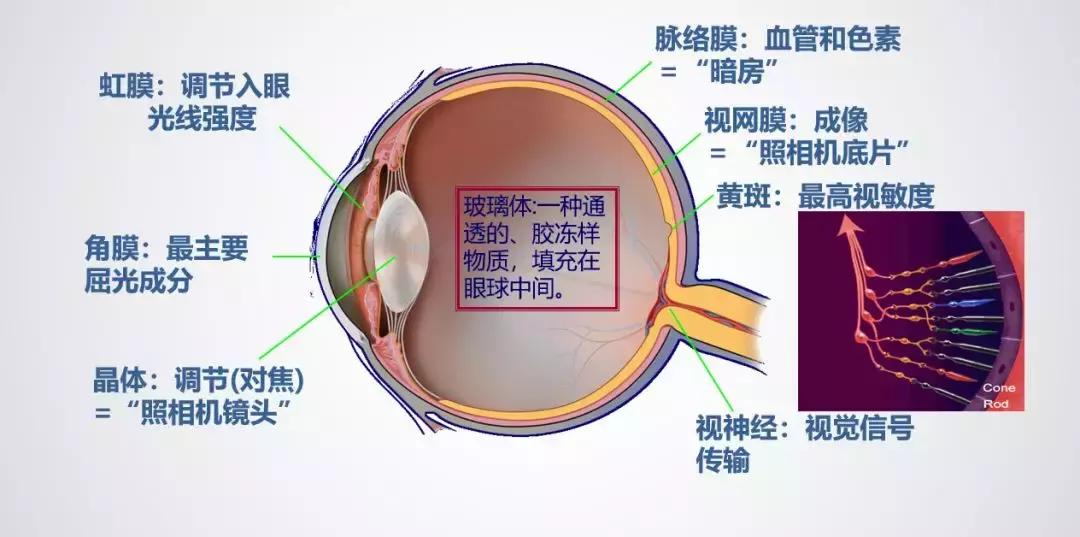 五官科医院周行涛近视手术,周行涛近视眼手术靠谱吗