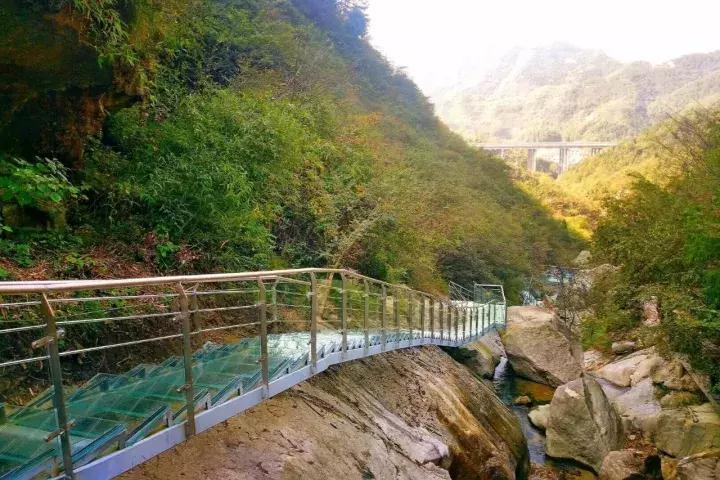 平江碧龙峡景区值得去玩吗,平江碧龙峡全长多少公里