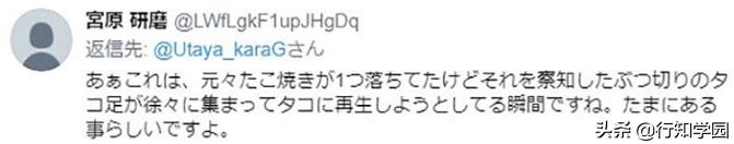 日本网友突遇“章鱼*弹炸**”引在线网友激情推理,这脑洞服了