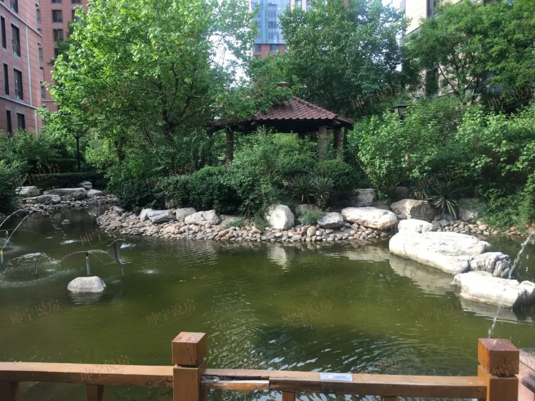 实探44中学区房,实探二手学区房