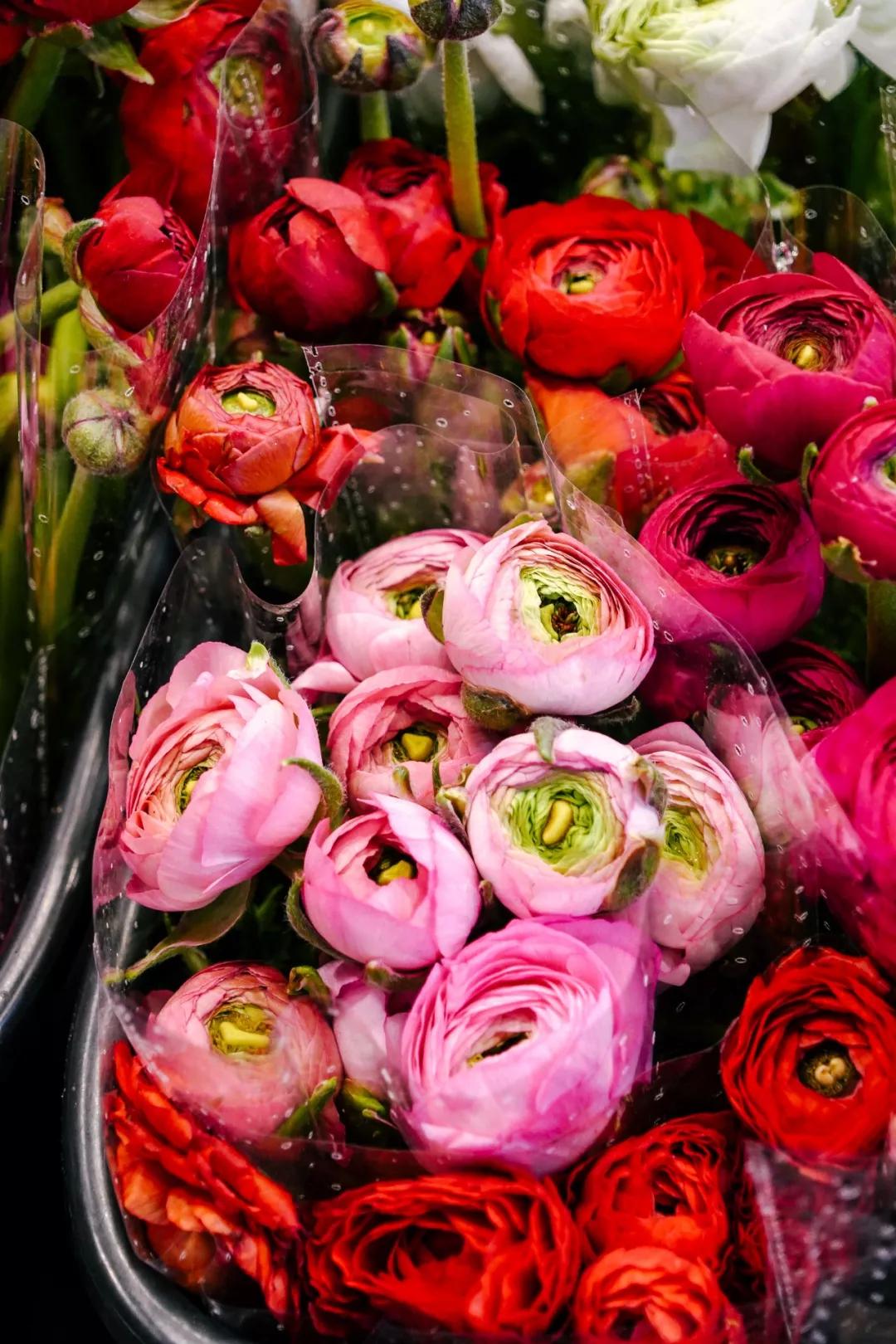 汉中门花市,汉中门花市价格