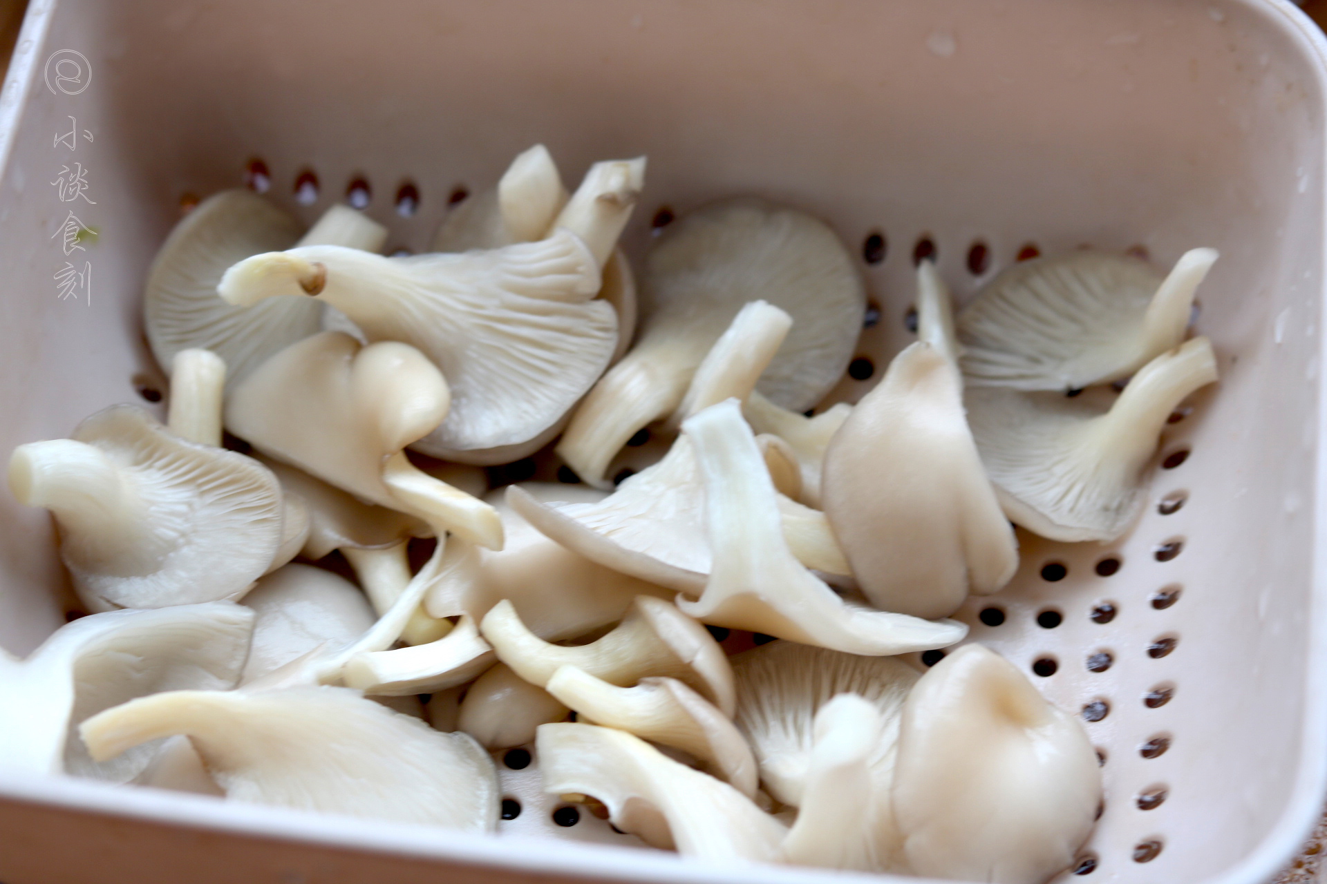 高笋与平菇能同吃吗,高笋平菇炒肉