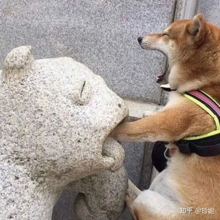 睡不着文案可爱沙雕朋友圈,可爱沙雕有趣的朋友圈文案短句