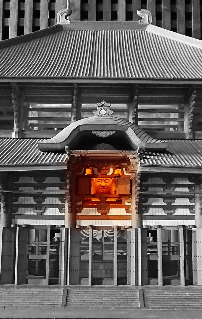 只要思想自由,只要开心坐在家里也可以周游世界