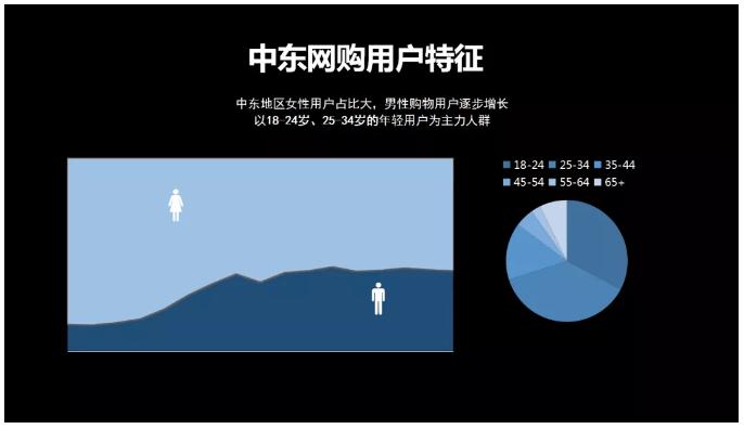 沙特阿拉伯网上购物,阿拉伯主流购物平台