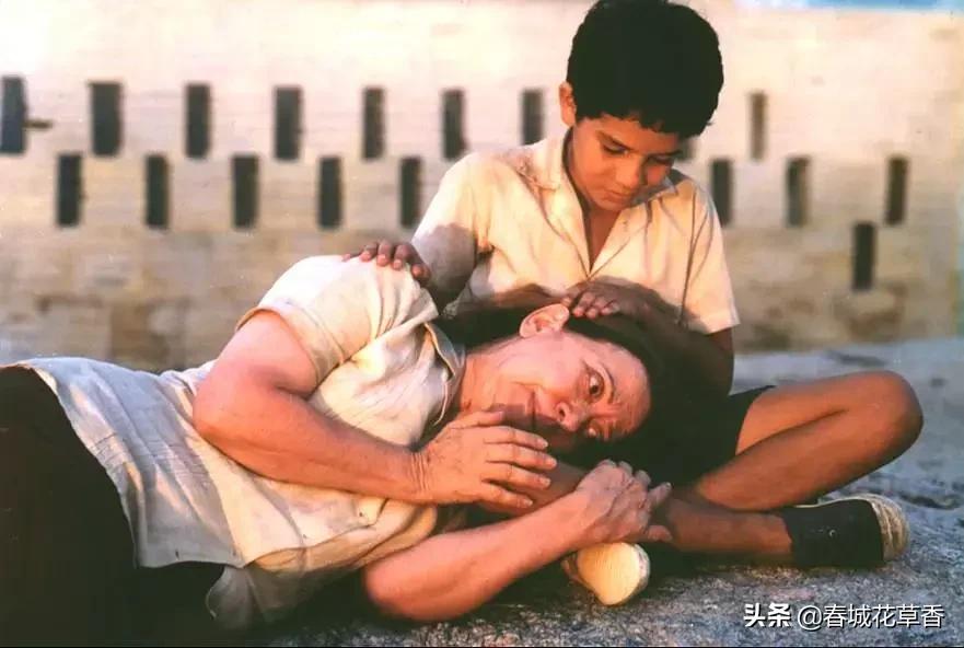 中央车站朵拉,朵拉为什么要见梅子