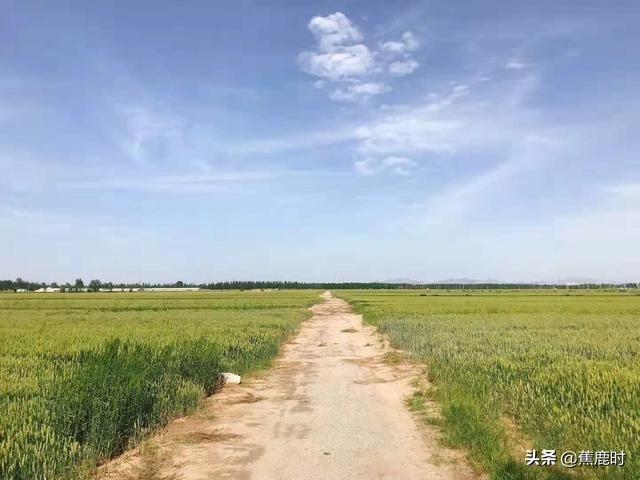 【原创连载《路回》】十七回苦念泽丧妻失子欲收张沐于膝下