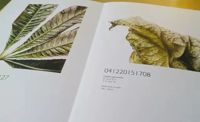 兼职老师暑假社会实践体会,暑假兼职应该什么时候找是最好的