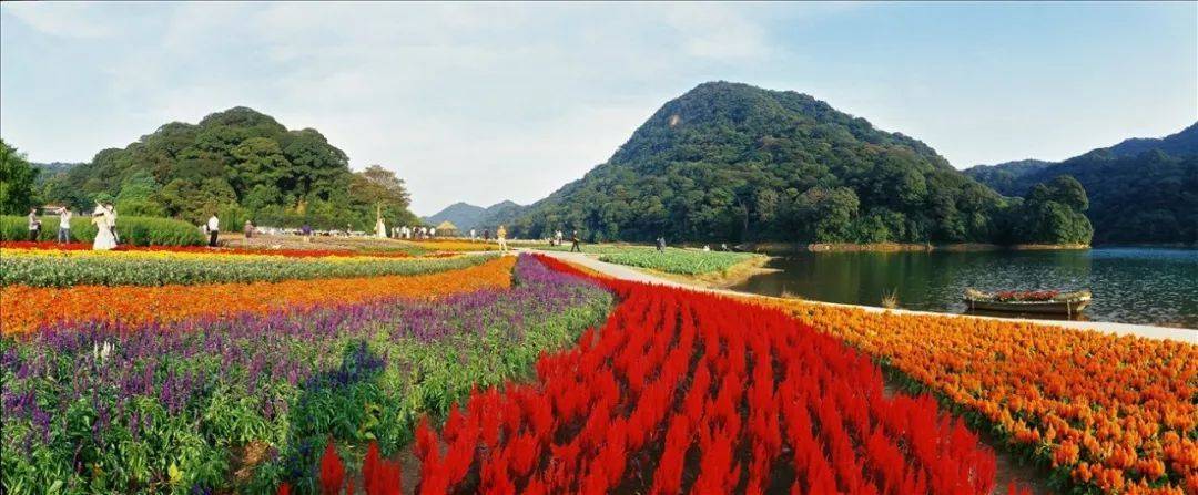 从化望谷温泉度假村门票预订,从化温泉酒店天露山温泉套票