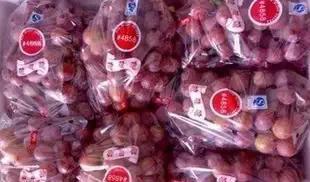 进口水果常见的有哪些,选购进口水果要注意什么