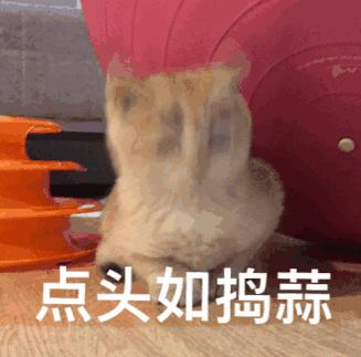 ishow英语是骗局吗,ishow英语培训机构怎么样