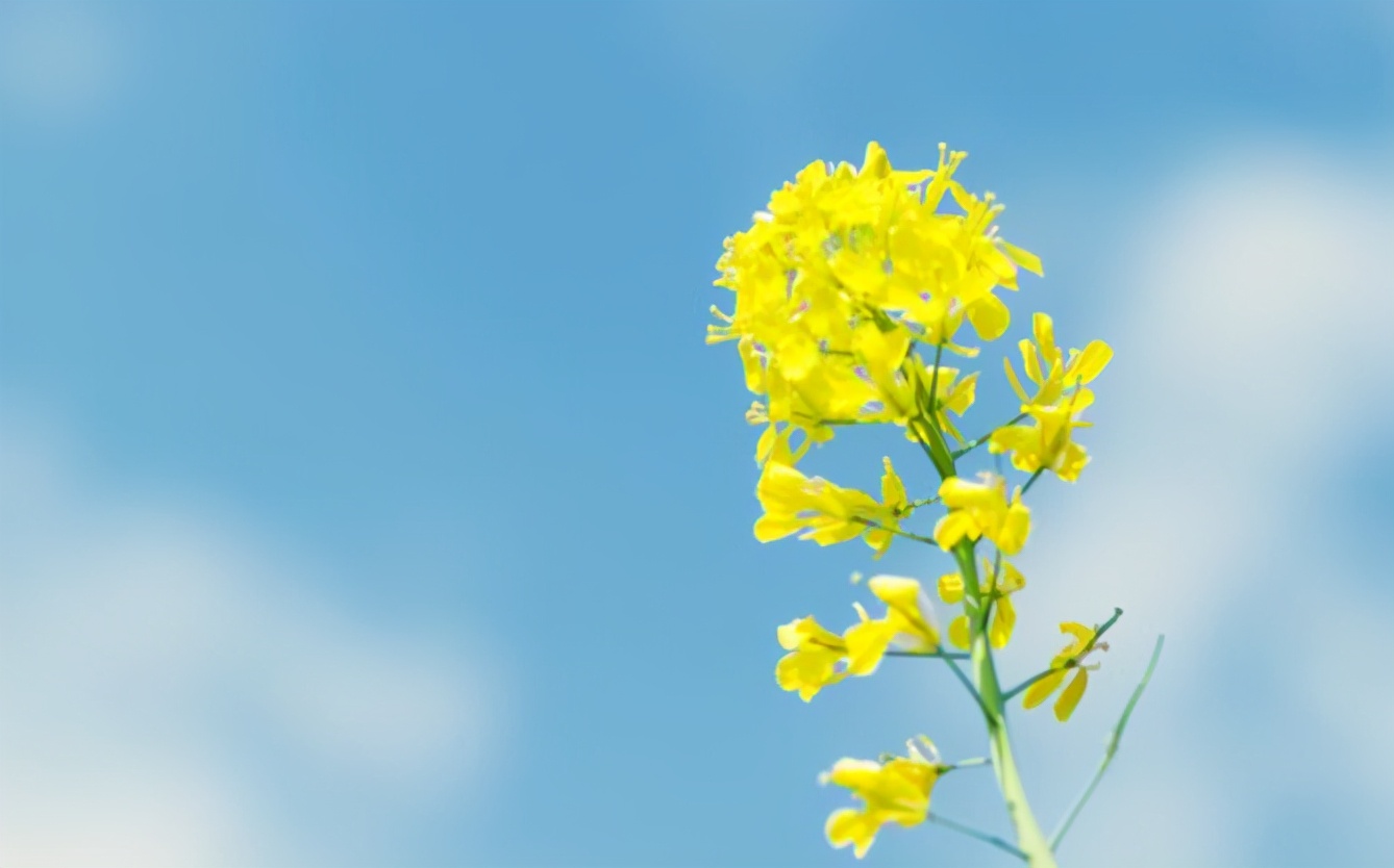 公公看上儿媳陪嫁，四处炫富，亲家提前做财产公证，婚前双方反目