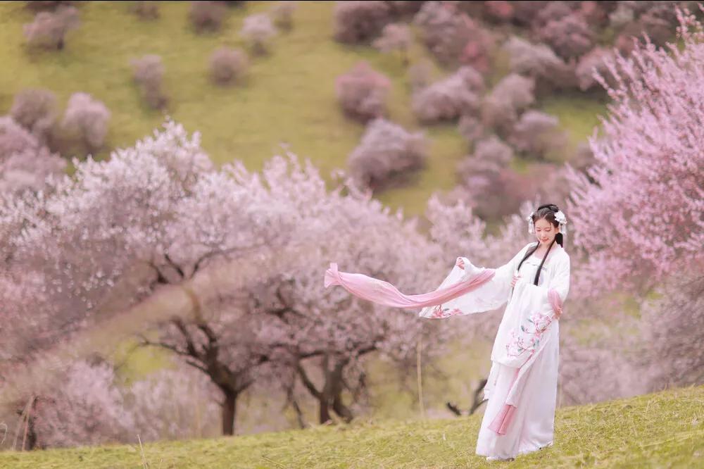 题都城南庄留给了我什么印象,题都城南庄深度解读