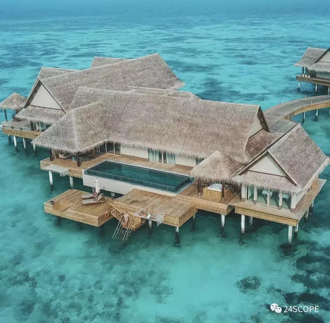 马尔代夫最美度假旅游岛酒店,马尔代夫娇丽酒店价格
