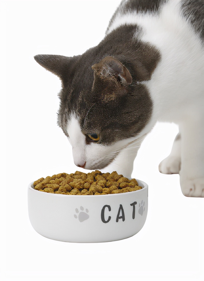 猫咪特别能掉毛怎么办,猫咪掉毛最有效的办法