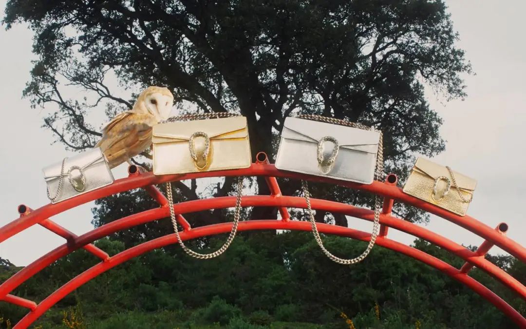 成为奢侈品的条件,成为爱马仕的vip要多少钱