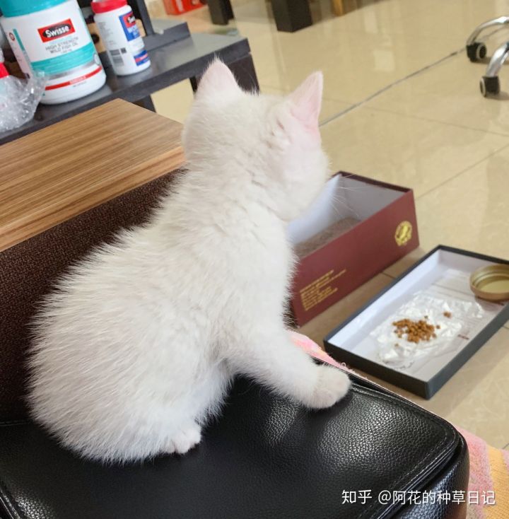 冬天实用生活好物,还有哪些实用的过冬好物