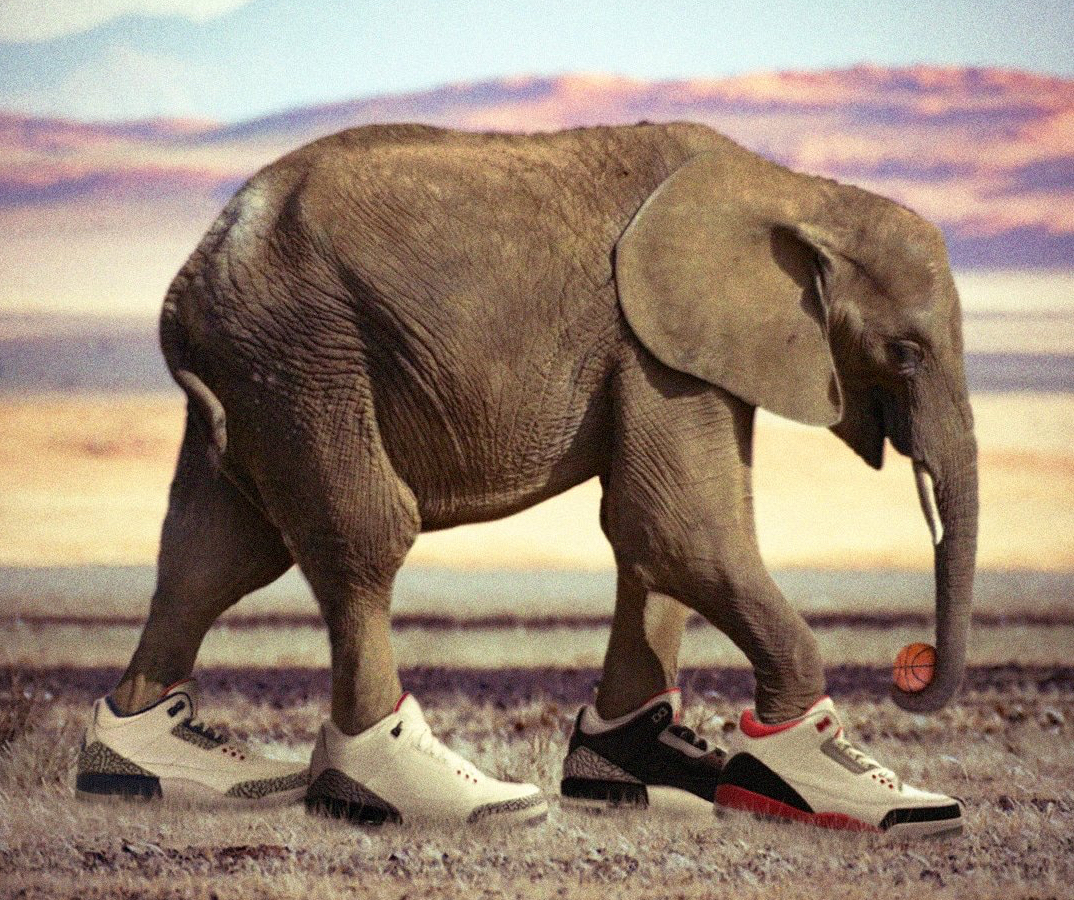 15双NBA新赛季最花哨篮球鞋,你最中意哪一双