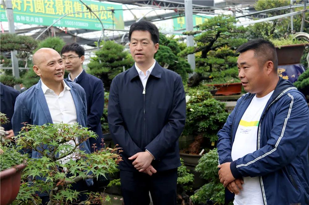 中国沭阳国际花木城在哪个城市,沭阳花木城的发展
