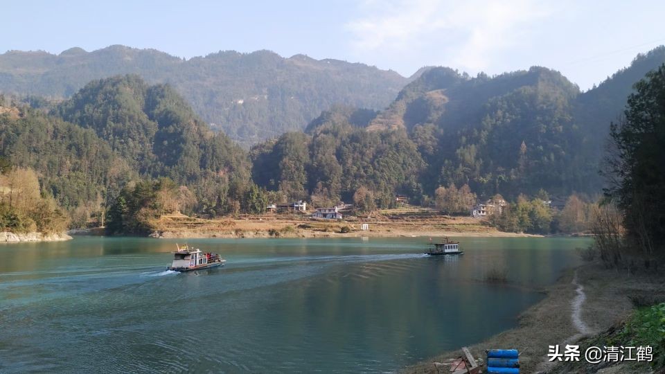 农村末来最有希望的行业有哪些,未来农村前景最好的十个行业