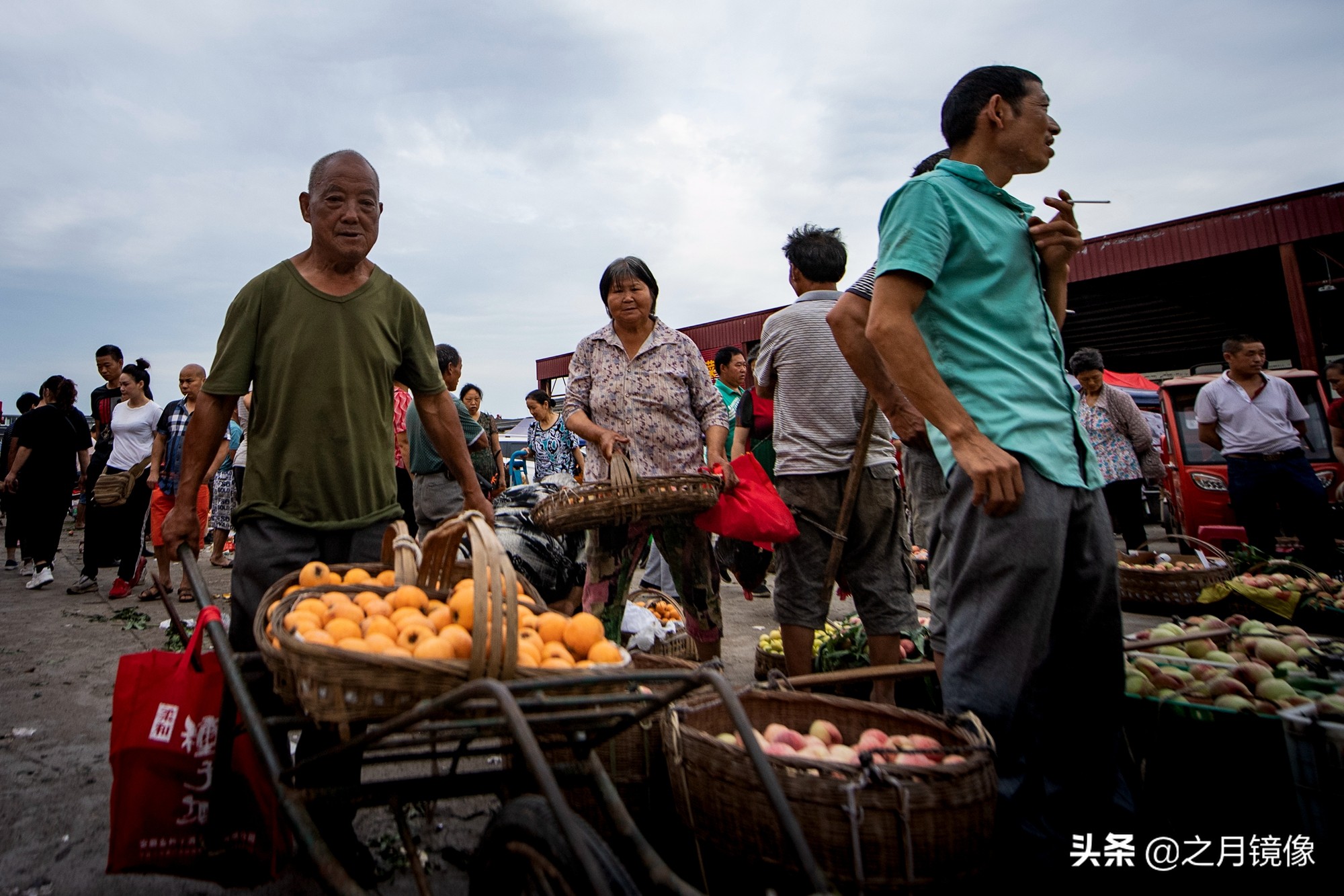 天府新区太平枇杷,成都太平枇杷批发市场