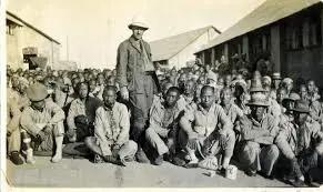 从猪仔打到凤凰游戏,从猪仔升级到主管