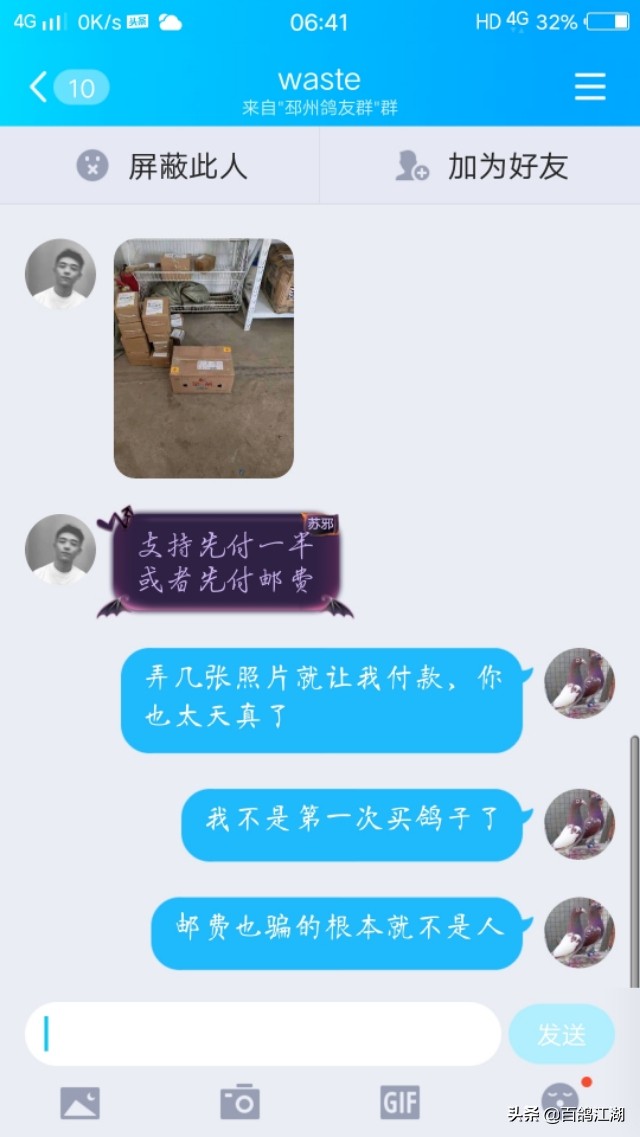 养鸽子是不是骗局,养鸽人买来的教训