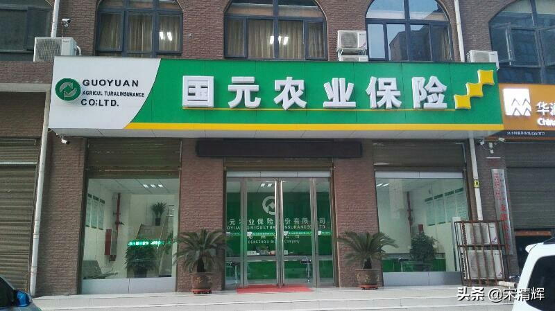 庆东集团宋清辉,宋清辉观察上市公司