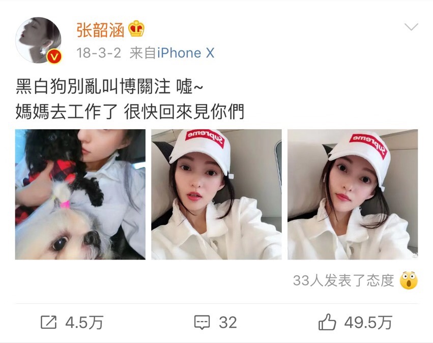 范玮琪人设崩塌了没,范玮琪对张韶涵做过什么事