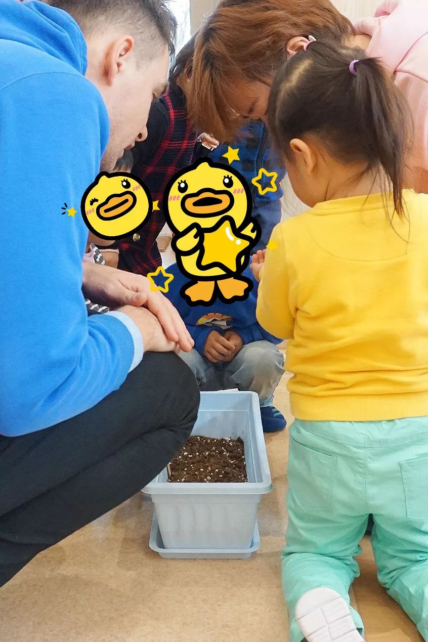 探园幼儿园,上海浦东新开国际托育园