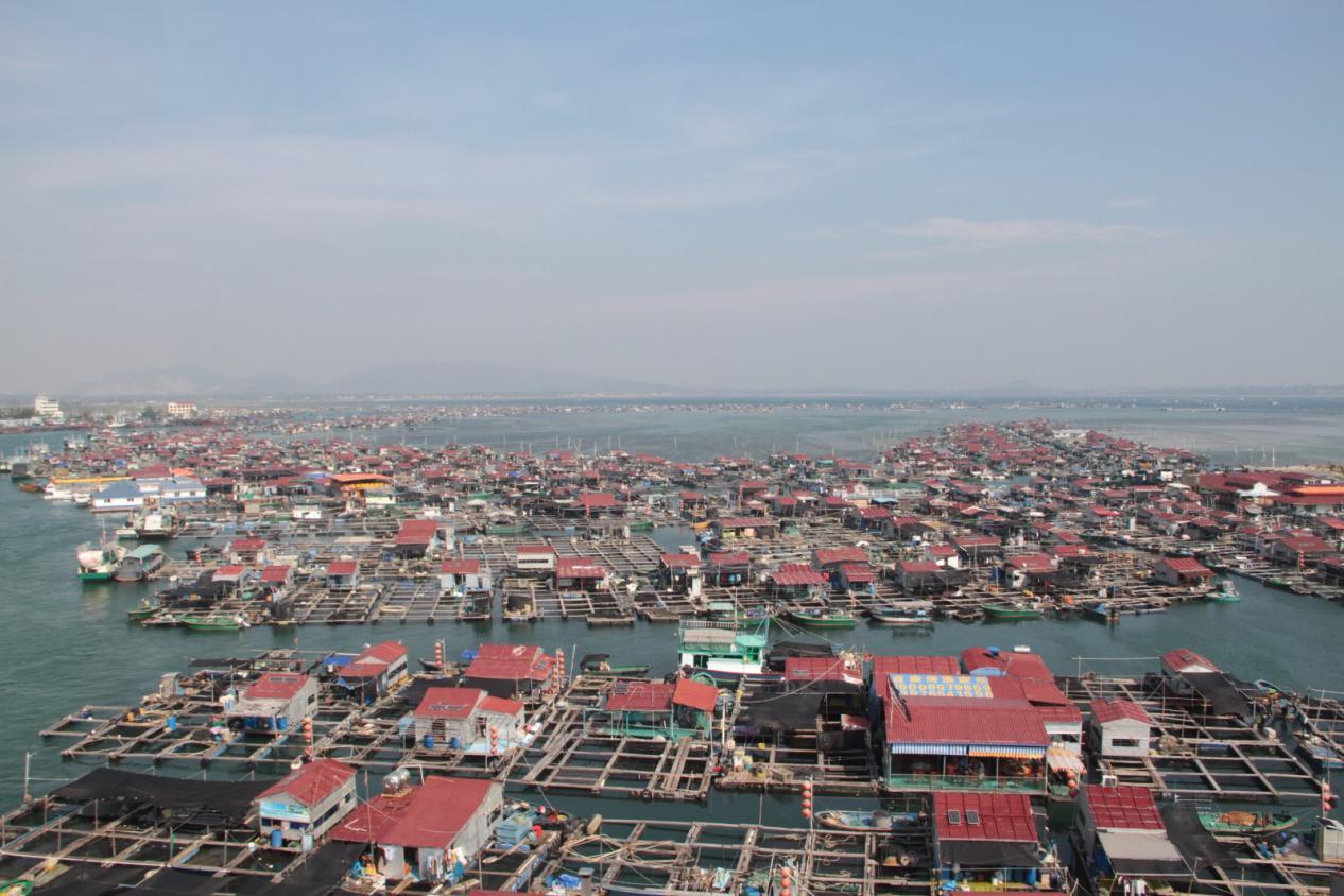 以船为家在水上生活漂泊不定,以船为家的疍家人