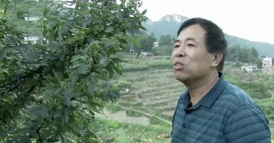 大叔收集废品变废为宝,重庆大叔创业