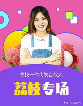 一件代发怎么找到靠谱的货源,一件代发如何找到好货源