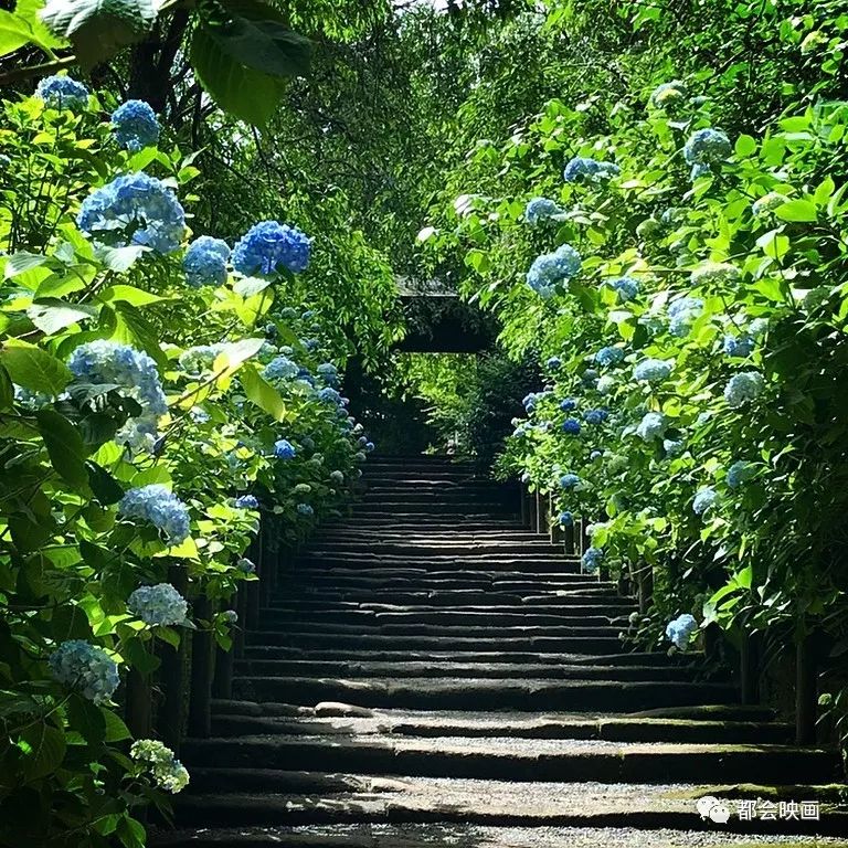 有谁受得了花火大会的告白*魂迷**汤