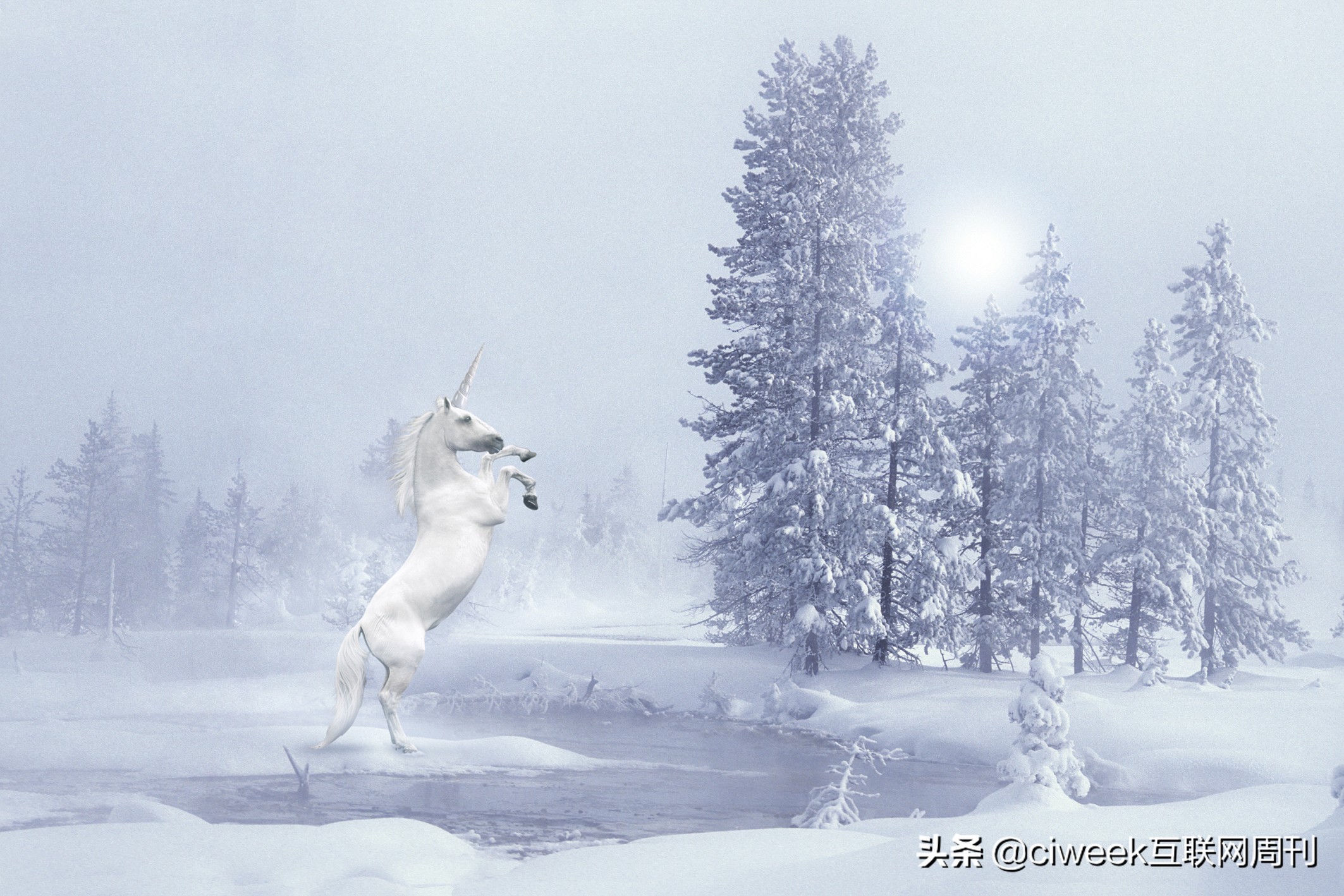 独角兽企业2019,2022年中国独角兽企业榜单