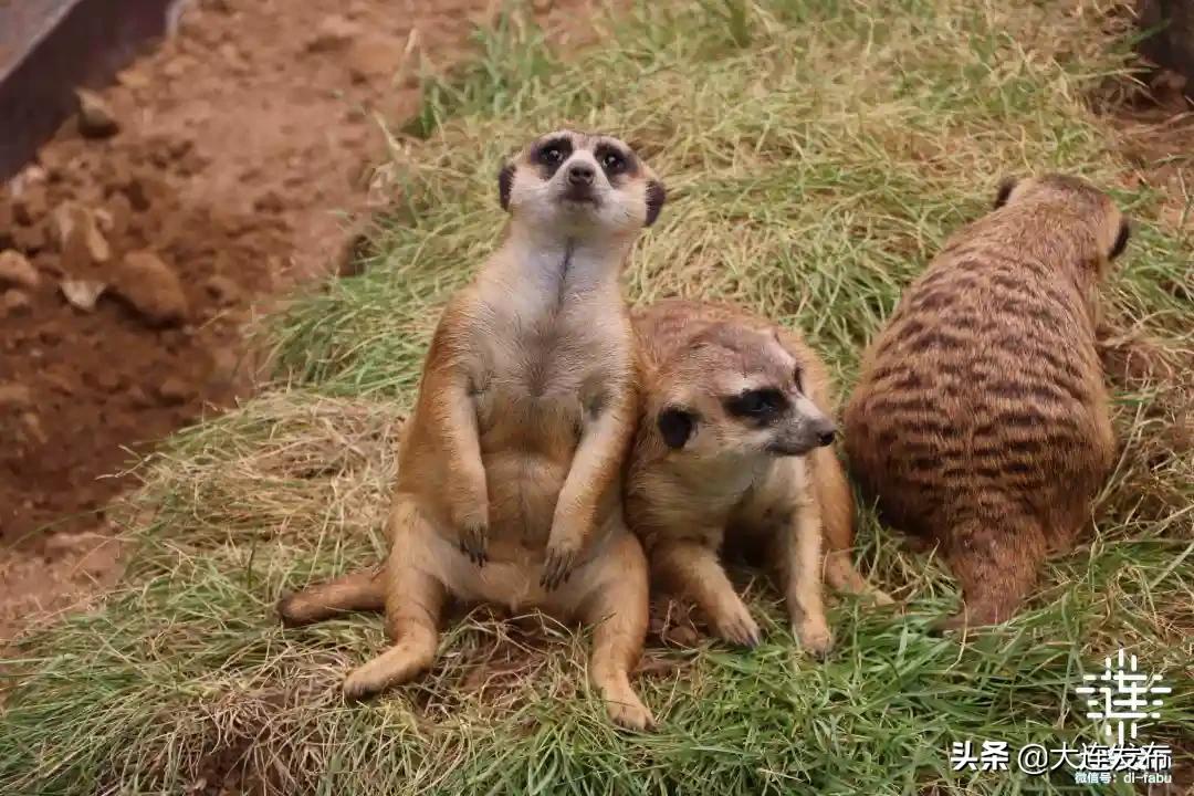 黄金周不打烊,黄金周不出门