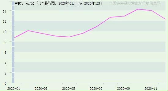 姜价上涨原因,姜价格上涨还是下跌