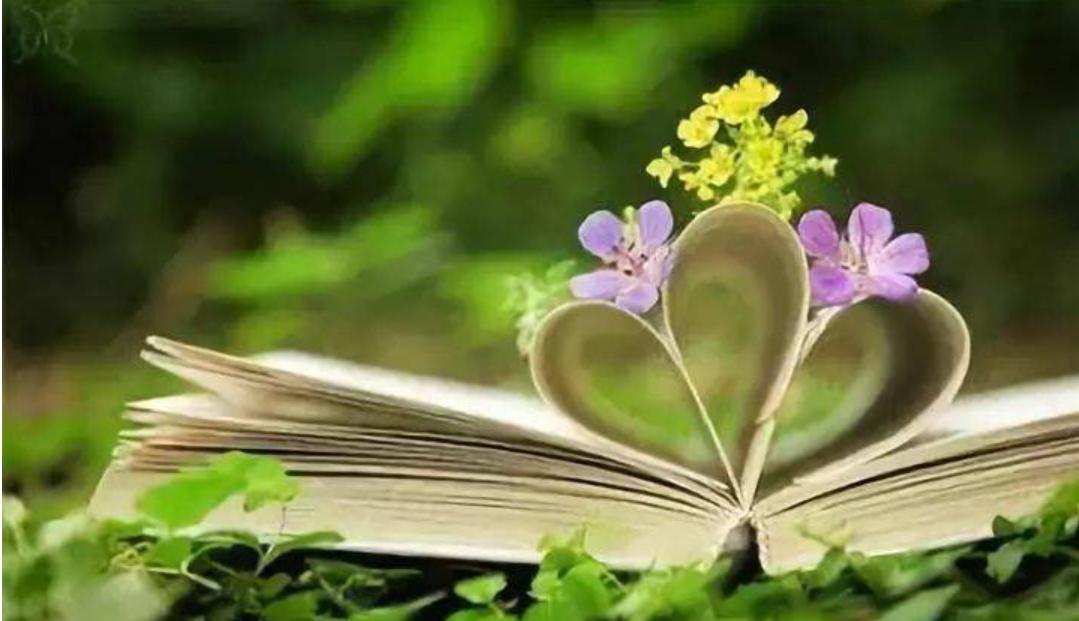 重度抑郁症患者高霞第一天挑战：独自出门展示