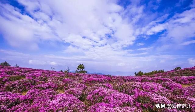昆明周边五一去哪里,五一昆明周边搭帐篷