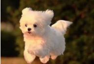 真人实测｜不装了，我承认我是用了这个