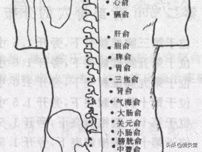 夏天艾灸和冬天艾灸,又到了艾灸的季节