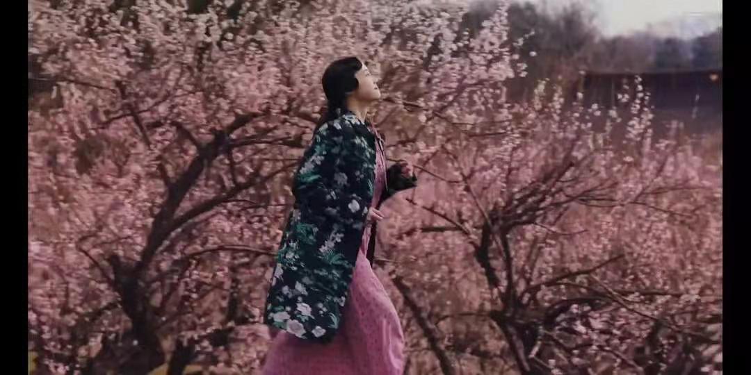 太宰治殉情原版视频,太宰治殉情在第几本