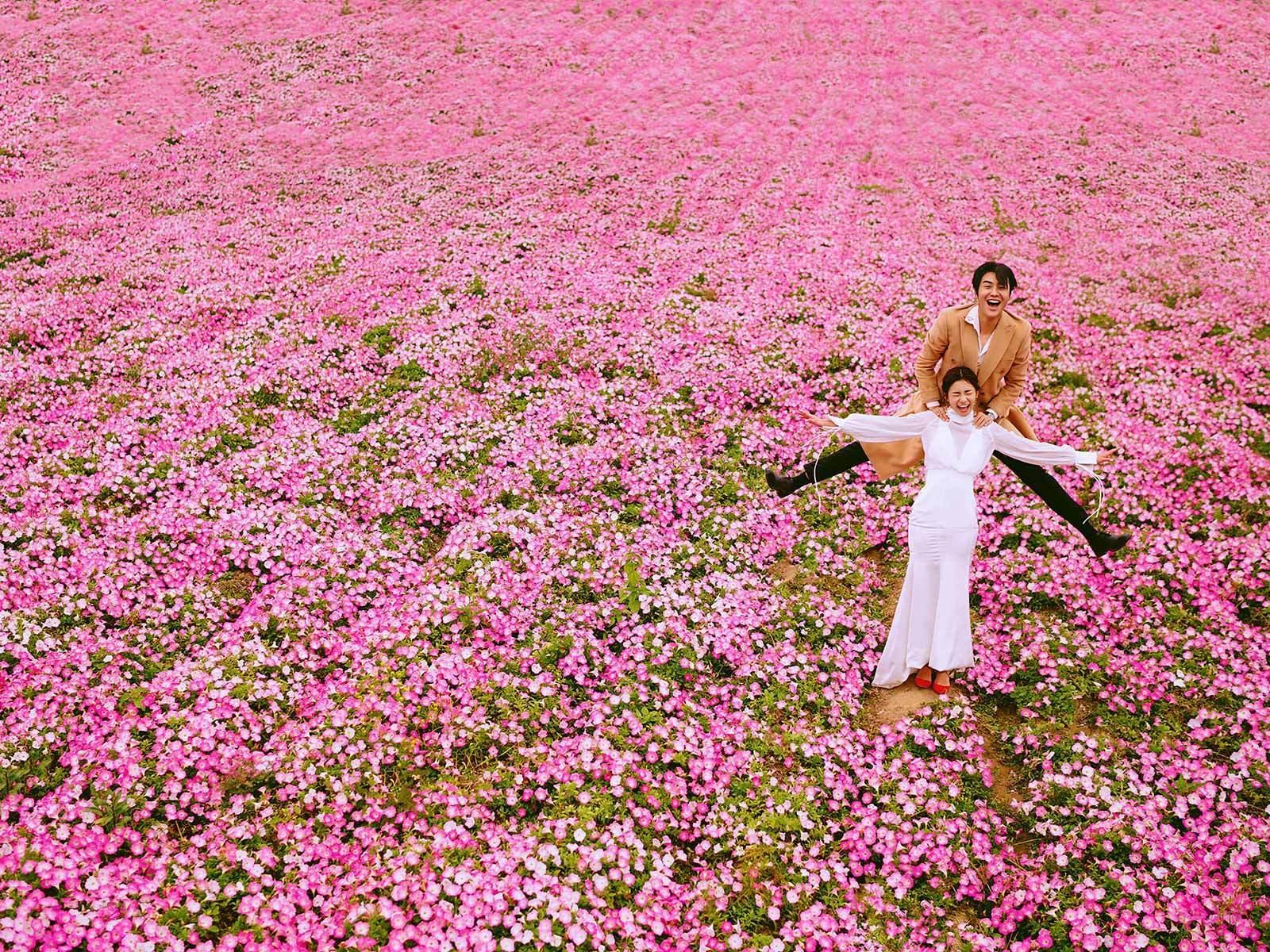 苏州哪家婚纱照拍得最好,苏州婚纱照哪家拍得最好
