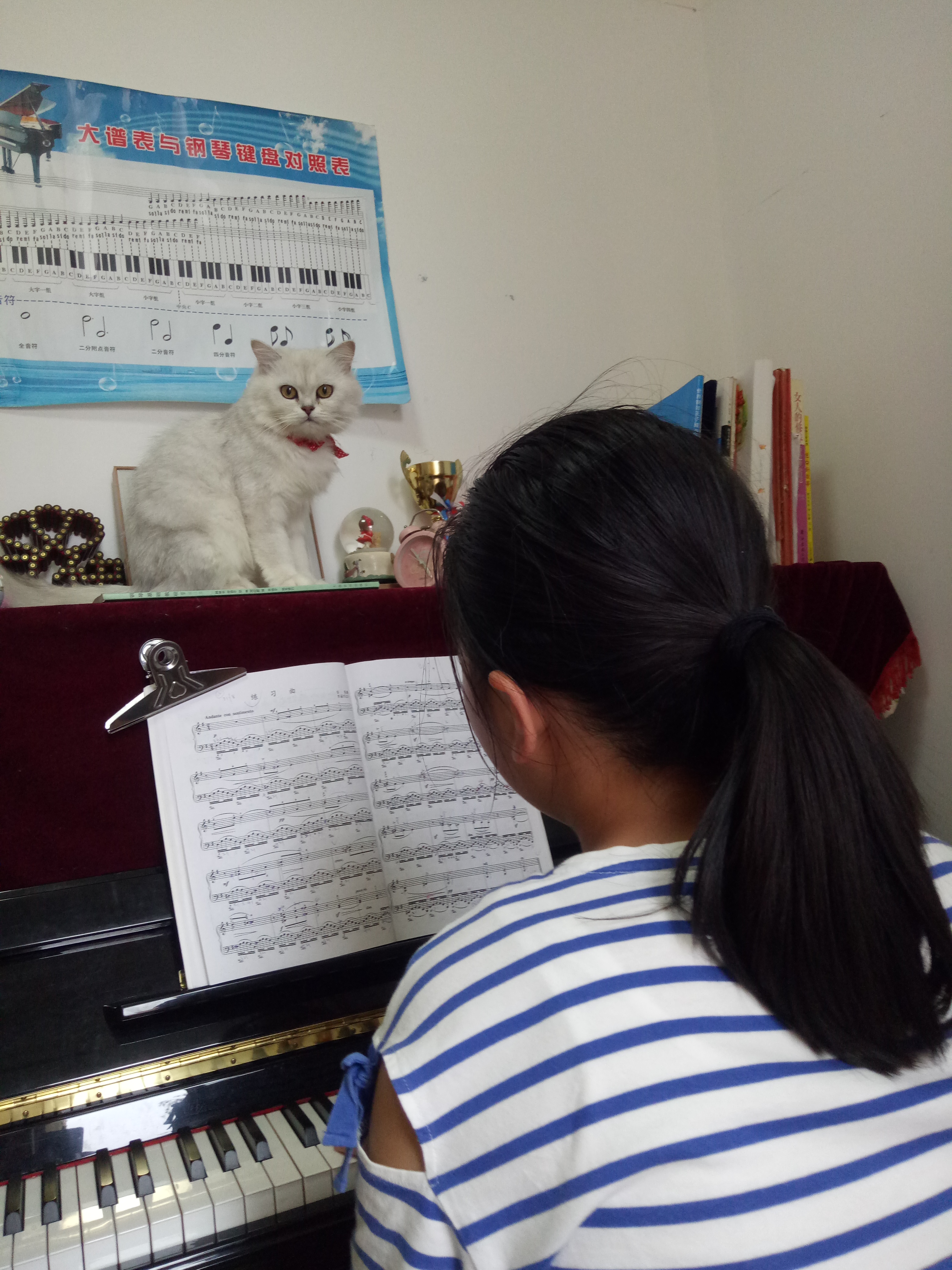 绗ㄧ鐚効绔ュ脊閽㈢惔瑙嗛,绗ㄧ鐚脊閽㈢惔瑙嗛