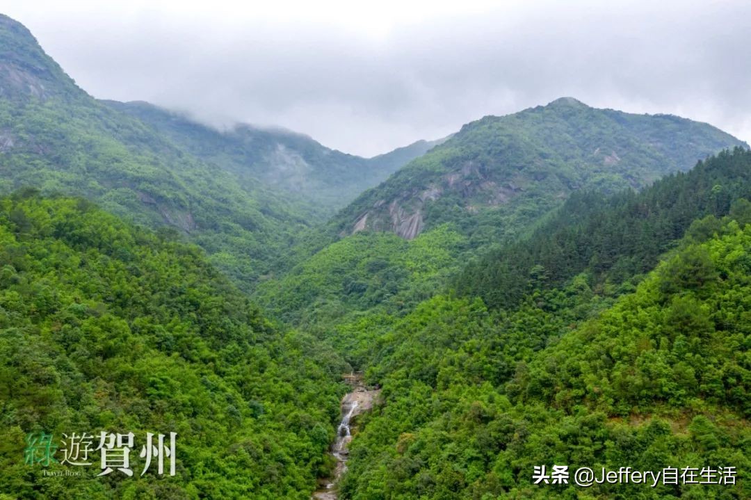 拍贺州｜莲塘镇大山深处的“一号基地”