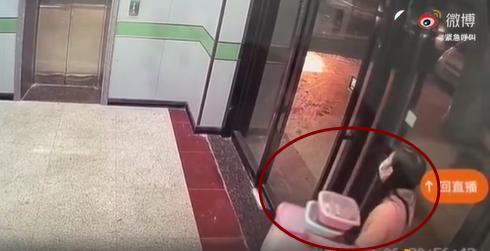 货拉拉女孩跳车窗身亡事件原因,货拉拉跳车身亡女孩事件直播